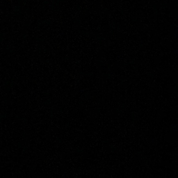 Meet your Posher, Payton - Picture 1 of 1